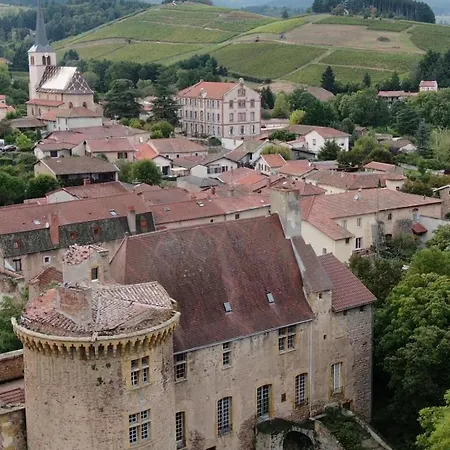 Chateau D Albon - Catherine De Medicis 3*