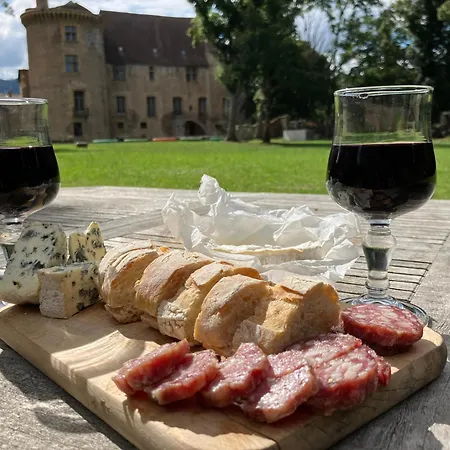 Chateau D Albon - Catherine De Medicis 住宿加早餐酒店